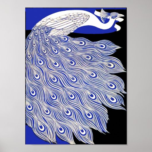 Blue Peacock Poster (Voorkant)