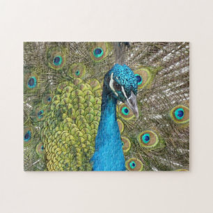 Blue Peacock Puzzle Legpuzzel