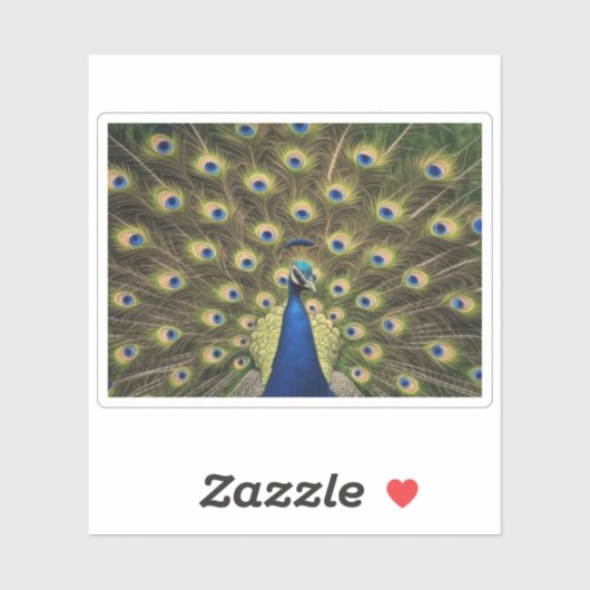 Blue Peacock Sticker (Vel)