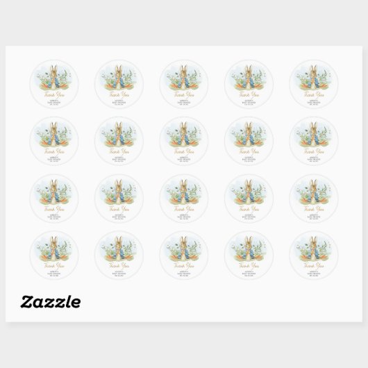 Blue Peter Rabbit Baby shower Ronde Sticker (Vel)