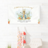 Blue Peter Rabbit Baby shower Spandoek (Insitu)