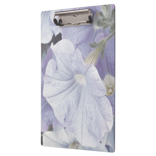 Blue Petunia Blossom Clipboard Klembord (Links)