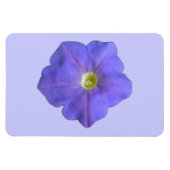 Blue Petunia Premium Magnet Magneet (Horizontaal)