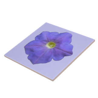 Blue Petunia Tile Tegeltje