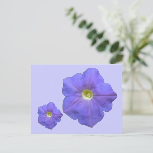 Blue Petunias Briefkaart (Staand voorkant)