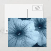 Blue Petunias Briefkaart (Voorkant / Achterkant)