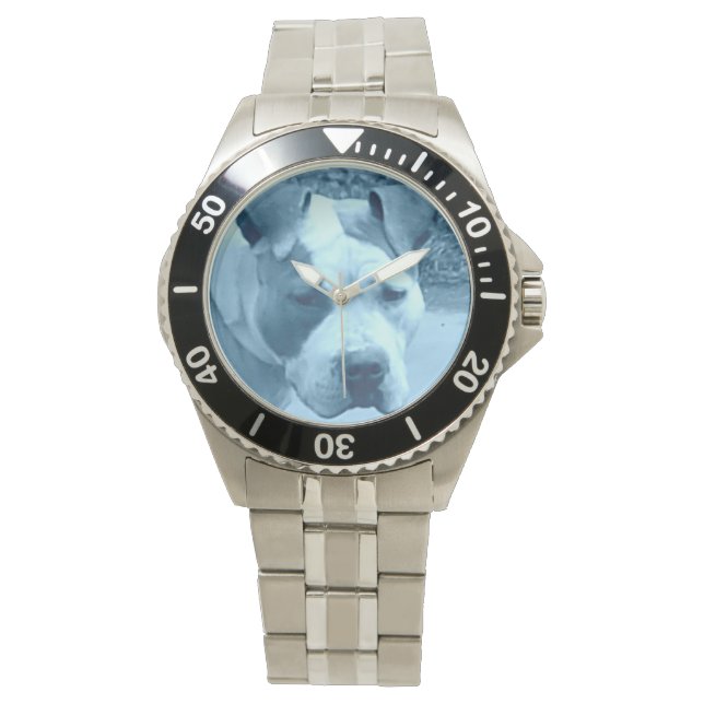 Blue Pit Bull Watch Horloge (Voorkant)