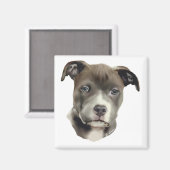 Blue Pitbull Magneet (Voorkant / Achterkant)