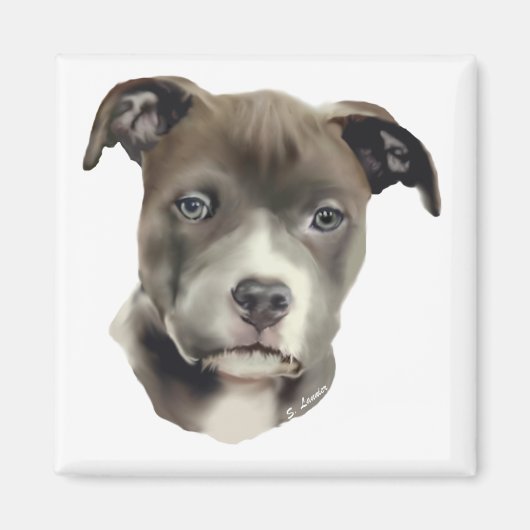 Blue Pitbull Magneet (Voorkant)