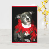 Blue Pitbull Puppy Wenskaart Kaart (Gele Bloem)
