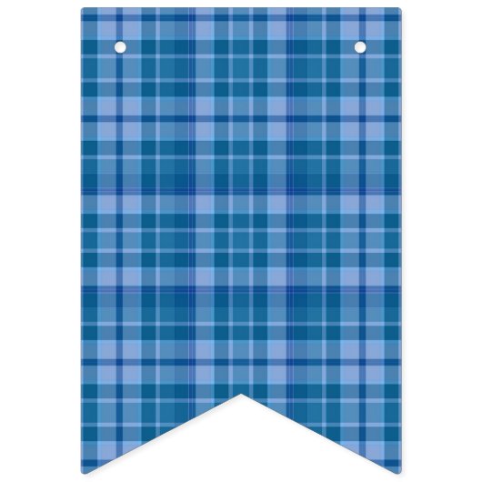 Blue Plaid Het is een Boy Baby shower Vlag Bunting Vlaggetjes (Eerste vlag)