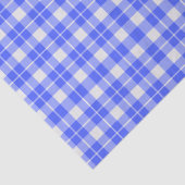 Blue Plaid Tissuepapier (Detail)