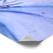 Blue Plumbago op Canvas Poster (Hoek)