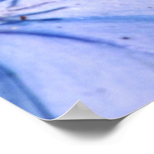 Blue Plumbago op Canvas Poster (Hoek)