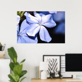 Blue Plumbago op Canvas Poster (Thuiskantoor)