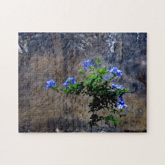 Blue Plumbago-ventilator Legpuzzel (Horizontaal)