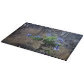 Blue Plumbago-ventilator Snijplank (Hoek)