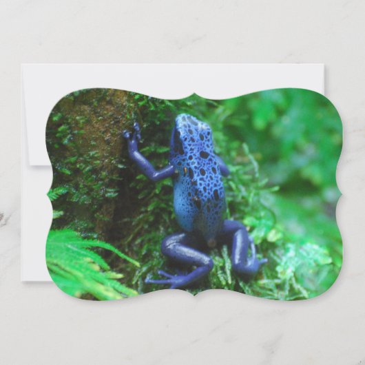 Blue Poison Arrow Frog Kaart (Voorkant)