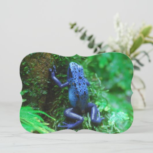 Blue Poison Arrow Frog Kaart (Staand voorkant)