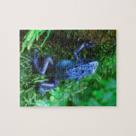 Blue Poison Arrow Frog Legpuzzel (Horizontaal)