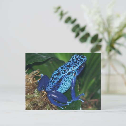 Blue Poison Arrow Frog Portrait Briefkaart (Staand voorkant)