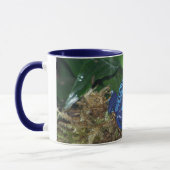 Blue Poison Arrow Frog Portrait Mok (Links)