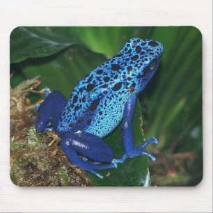Blue Poison Arrow Frog Portrait Muismat