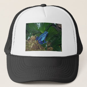 Blue Poison Arrow Frog Portrait Trucker Pet