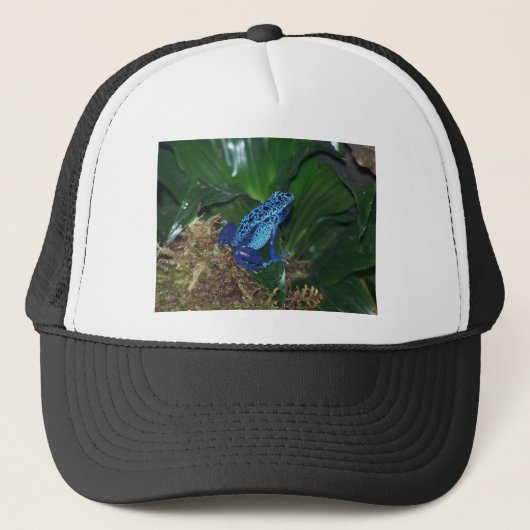 Blue Poison Arrow Frog Portrait Trucker Pet (Voorkant)