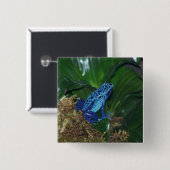 Blue Poison Arrow Frog Portrait Vierkante Button 5,1 Cm (Voorkant /achterkant)