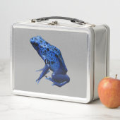 Blue Poison Dart Frog (In situ)