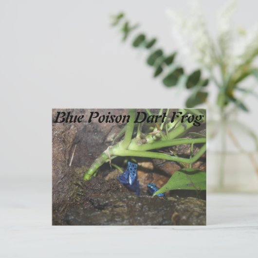 Blue Poison Dart Frog # 2 Briefkaart (Staand voorkant)