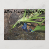 Blue Poison Dart Frog # 2 Briefkaart (Voorkant)