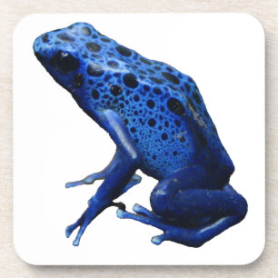 Blue Poison Dart Frog Bier Onderzetter