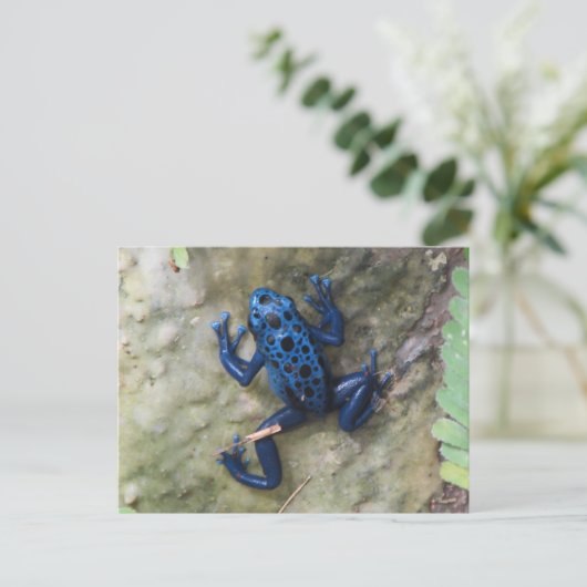 Blue Poison Dart Frog Briefkaart (Staand voorkant)