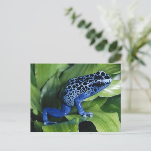 Blue Poison Dart Frog Briefkaart (Staand voorkant)