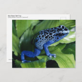 Blue Poison Dart Frog Briefkaart (Voorkant / Achterkant)