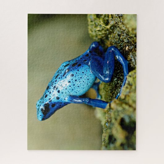 Blue Poison Dart Frog Close, Jigzaag Puzzle Legpuzzel (Verticaal)
