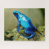 Blue Poison Dart Frog Close, Jigzaag Puzzle Legpuzzel (Horizontaal)