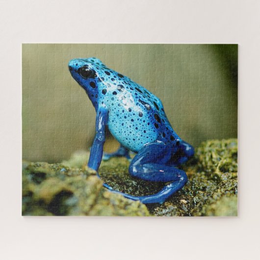 Blue Poison Dart Frog Close, Jigzaag Puzzle Legpuzzel (Horizontaal)