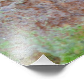 Blue Poison Dart Frog Dendrobates Azureus Foto Afdruk (Hoek)