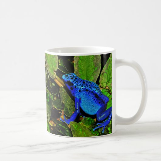 Blue Poison Dart Frog Dendrobates Azureus Koffiemok (Rechts)