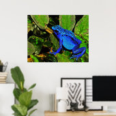 Blue Poison Dart Frog Dendrobates azureus Poster (Thuiskantoor)