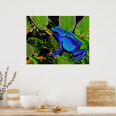 Blue Poison Dart Frog Dendrobates azureus Poster (Keuken)