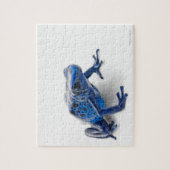 Blue Poison Dart Frog (Dendrobates Tinctorius) Legpuzzel (Verticaal)