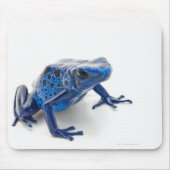Blue Poison Dart Frog (Dendrobates Tinctorius) Muismat (Voorkant)