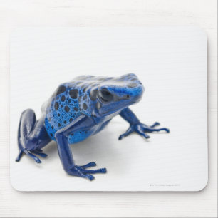 Blue Poison Dart Frog (Dendrobates Tinctorius) Muismat