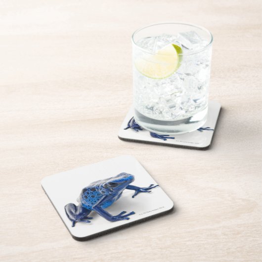 Blue Poison Dart Frog (Dendrobates Tinctorius) Onderzetter (Rechterzijde)