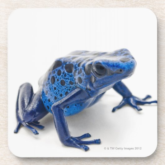 Blue Poison Dart Frog (Dendrobates Tinctorius) Onderzetter (Voorkant)