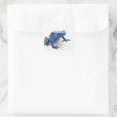 Blue Poison Dart Frog (Dendrobates Tinctorius) Vierkante Sticker (Tas)